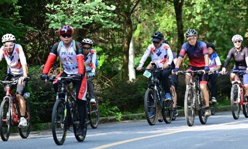 Pearl River Greenway Bike Ride with Hidden Gems-guangzhou